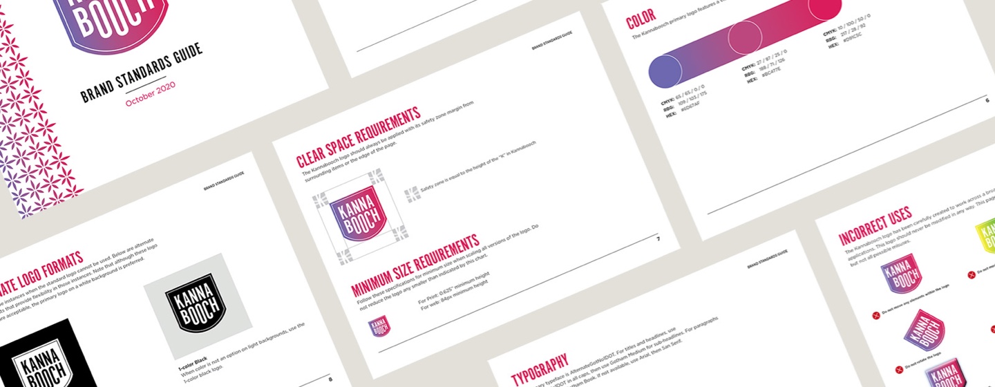 brand standards guide