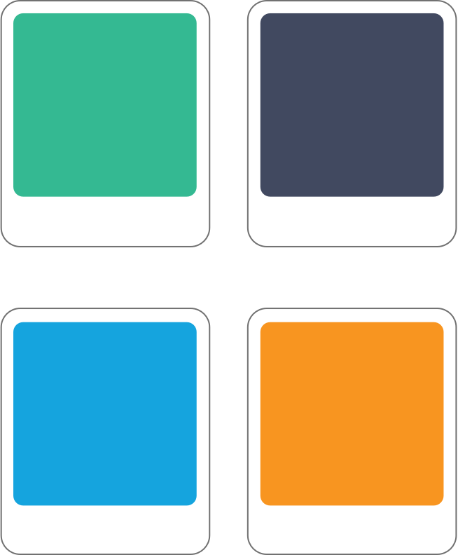 color palette